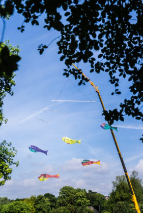 Outdoors. Viewed from beneath a tree canopy. Fish Mobile hangs 70metres high in the sky from a crane above the trees.