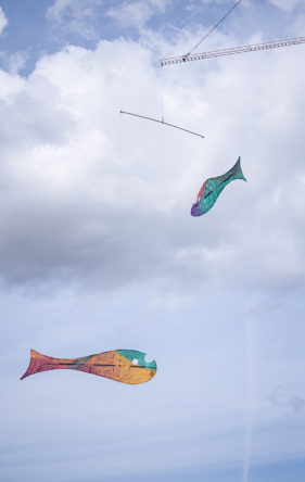 Outdoors. Two colourful fish swim high in the cloudy blue sky.